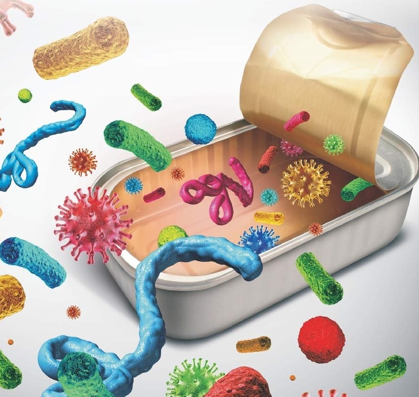 Microbes In Food