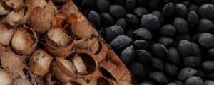 Convert Coconut Shell Into Charcoal As Well As Biogas